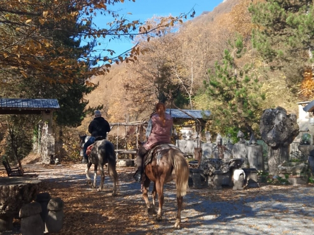  En selle prêt pour la balade à cheval