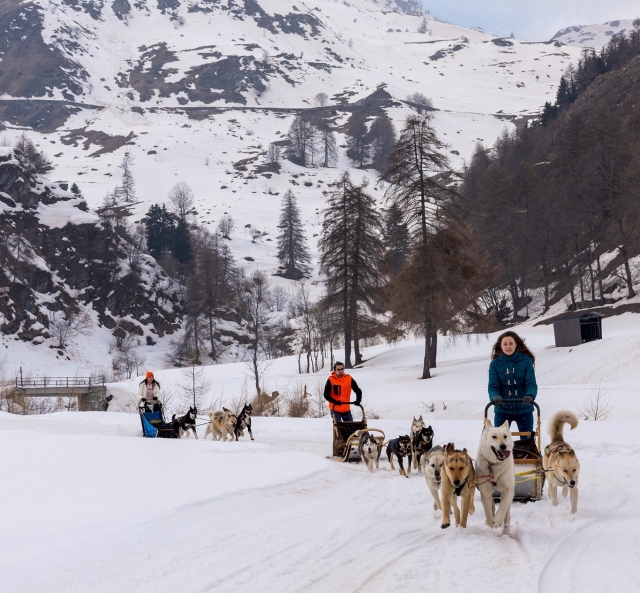 Escursione con Husky a Cuneo