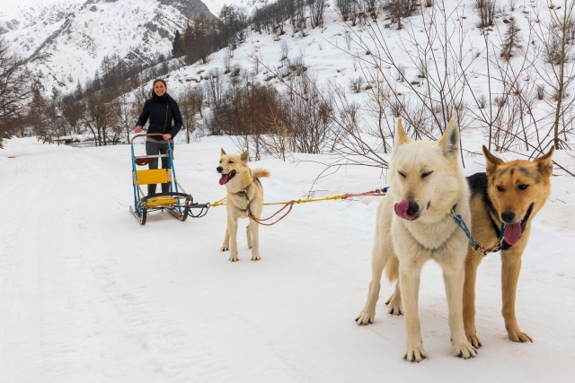 Breve pausa sulla neve
