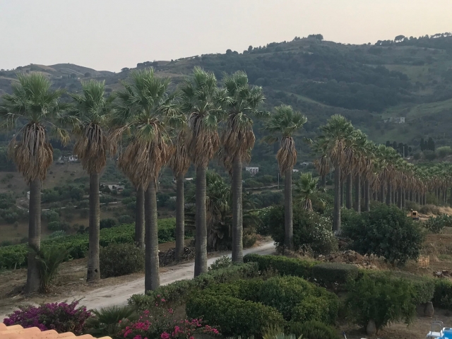  特拉帕尼地区的美丽风景 