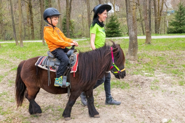  Que emoción es el paseo en pony