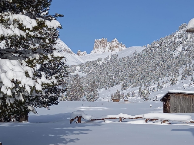 bellissimo paesaggio innevato Val di Fassa