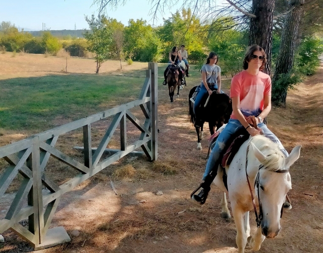  Reiten auf unseren Pferden 