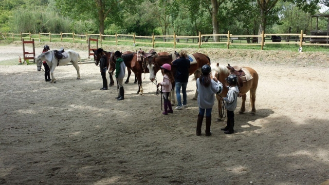  experiencia acercándonos al pony