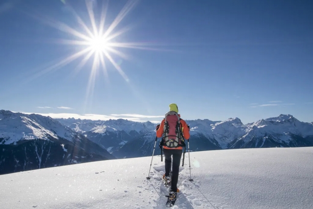  Venha conosco para descobrir os Alpes 