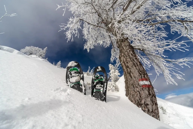 Experimente as caminhadas com os raquetes de neve! 