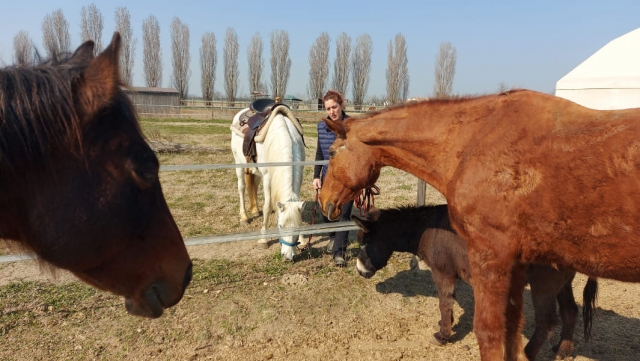 Tierpflege 