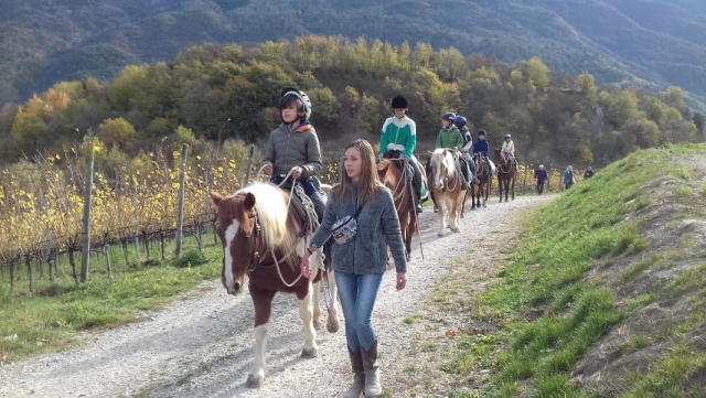  paseos a caballo para principiantes 