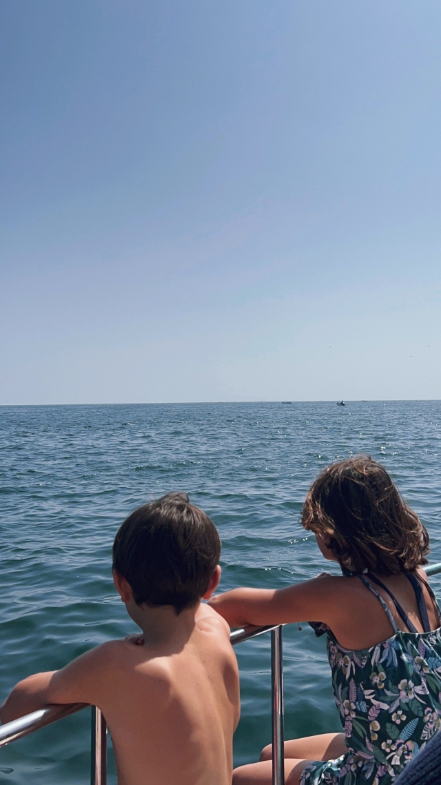  Excursion pour observer les dauphins