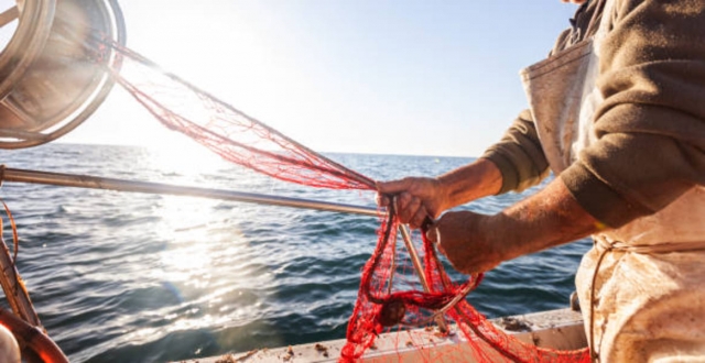  Pesca en Sorrento