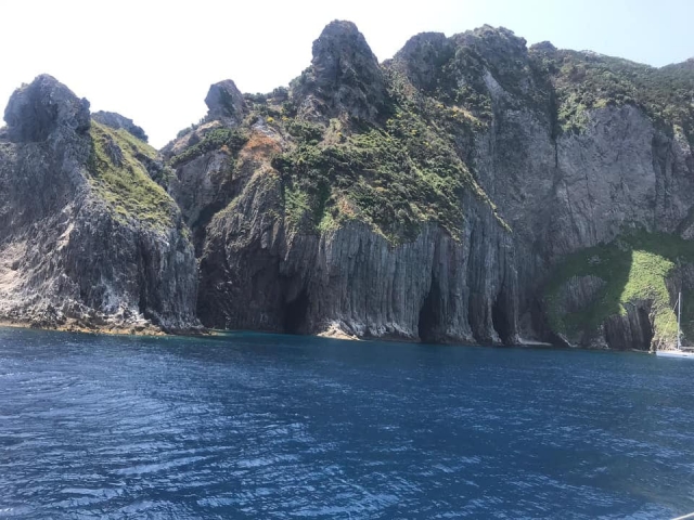  Palmarola 