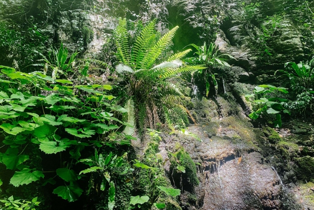  托斯卡纳 Rio Selvano 的自然风光