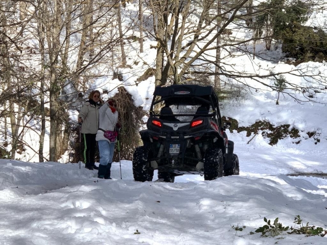  Caminhadas no buggy de inverno