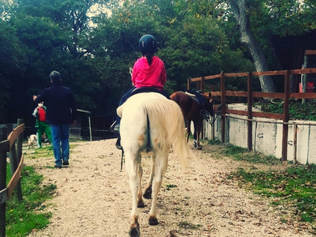  Little rider in the saddle 