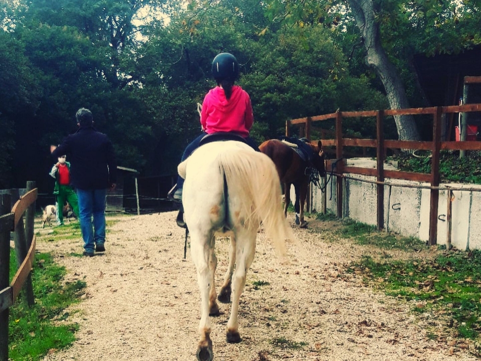  Little rider in the saddle 