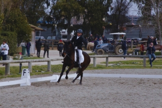 Paseo a caballo por el Parque Veio 1:30 H