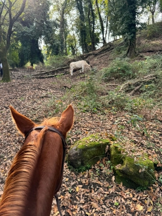 Paseo a caballo por el Parque Veio 1:30 H