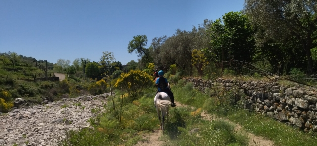Escursione a cavallo Parco dell'Etna 3h
