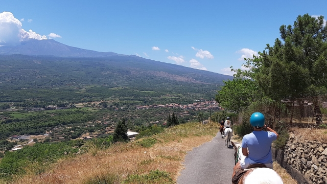  Wandern mit Aussicht 