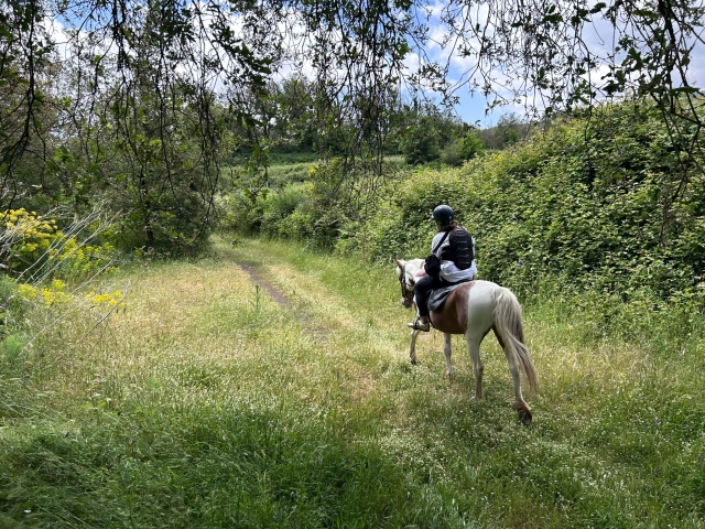 Passeio a cavalo no Parque Etna 1h + aperitivo