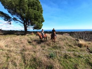 1h de balade à cheval + cours d'équitation sur l'Etna