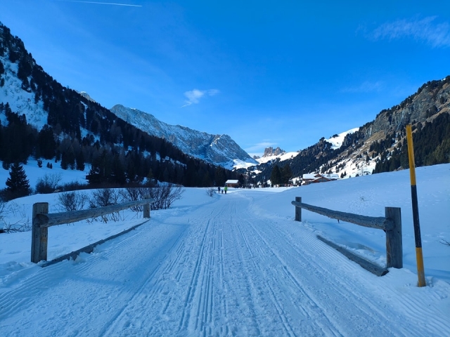 Pronti per la gita in motoslitta
