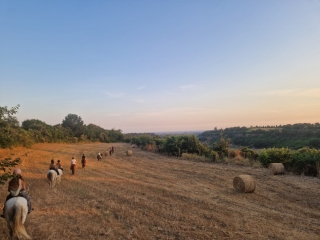 Sunset horse ride Fosso della Mola 2h