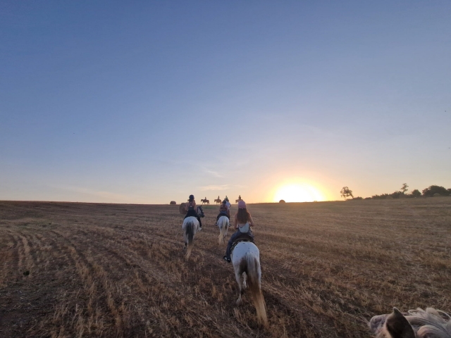  Cavalgando ao pôr do sol 