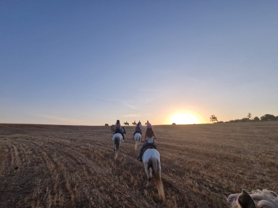 Cavalgando ao pôr do sol 