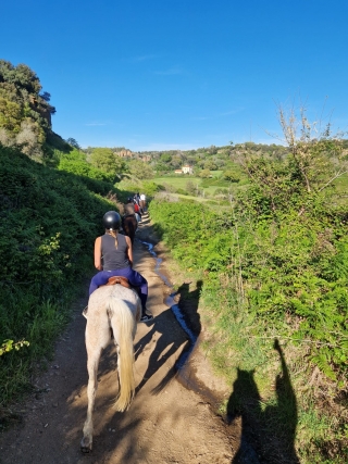 Horseback tour of Castel Giuliano waterfalls 1h