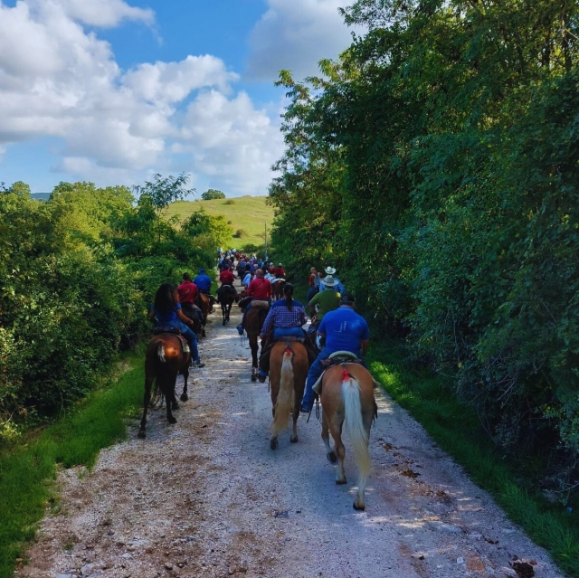  Reiten in der Natur Latiums 