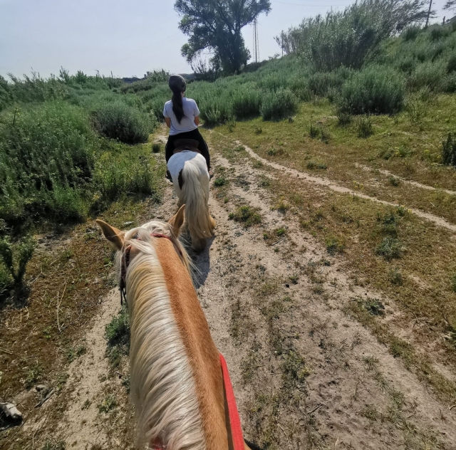 Escursione a cavallo di gruppo