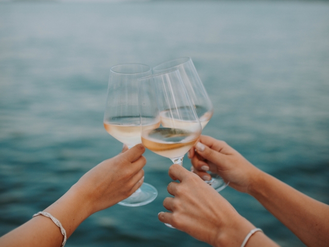  Anstoßen am Gardasee 