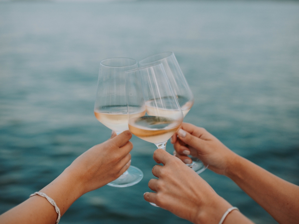  Anstoßen am Gardasee 