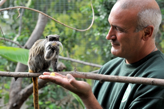  Proteja a biodiversidade 