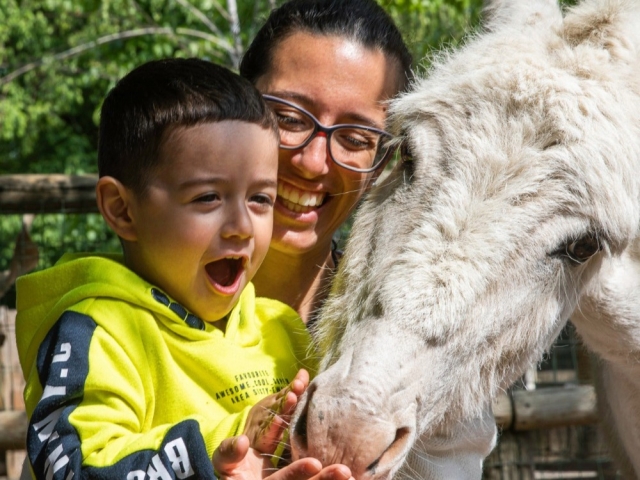  Having fun in contact with the animals 