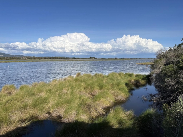  The splendid Lagoon of Orbetello 