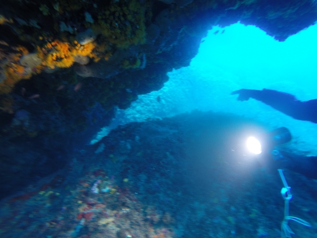  Diving 