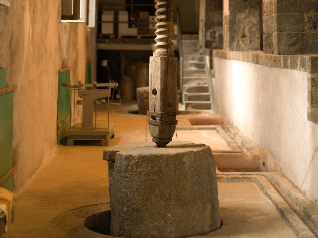  Musée