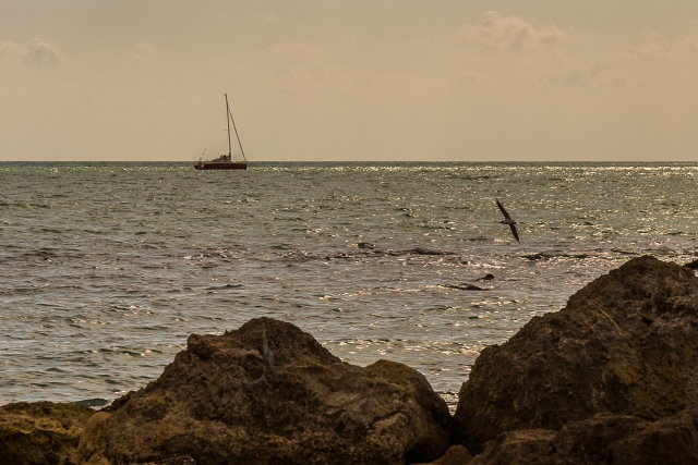  Mer sicilienne 