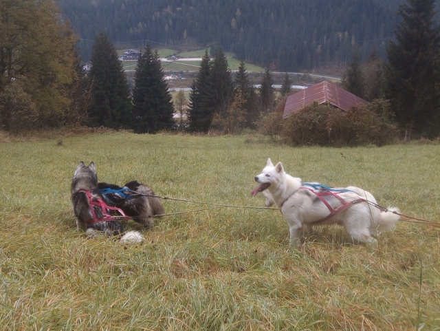  Trekking no campo