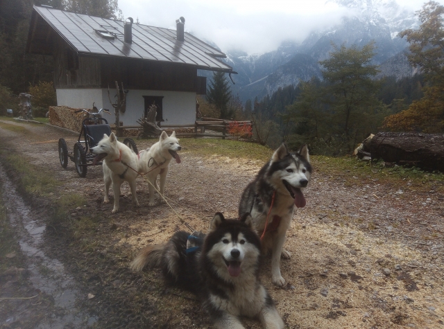 The Husky Estate 