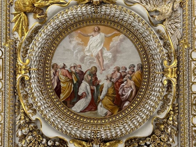  Collections du Vatican 
