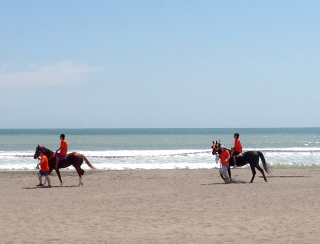  Horseback riding on the beach 