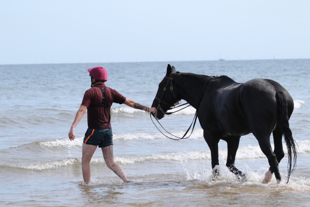  With a steed on the seashore 