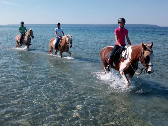  Na água com cavalos em Oristano 