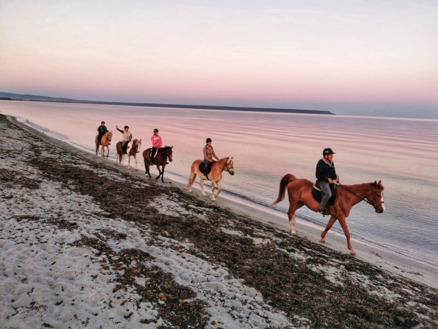  Au bord de la mer au coucher du soleil 