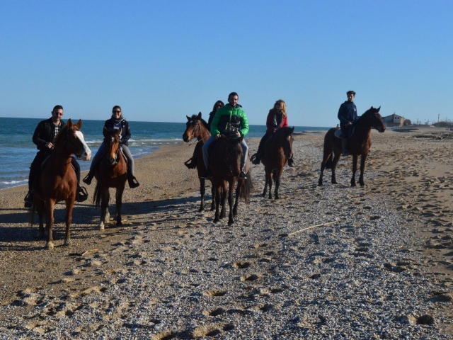  Paseo a caballo por la playa 
