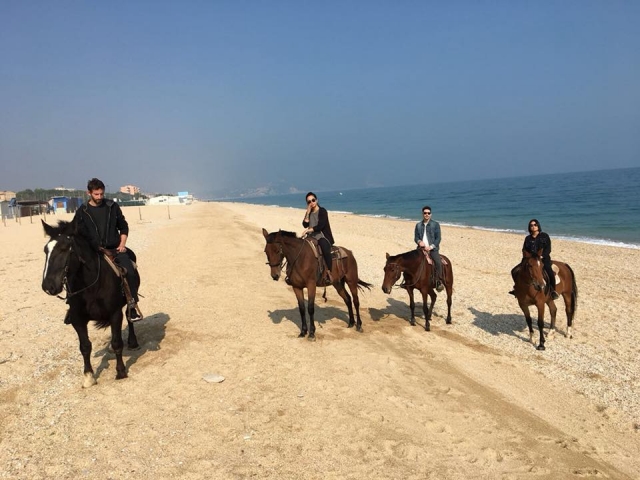  Salida a caballo en grupo en Numana 