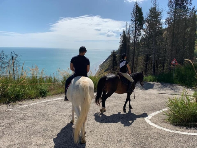  Cabalgando hacia la playa de Marche